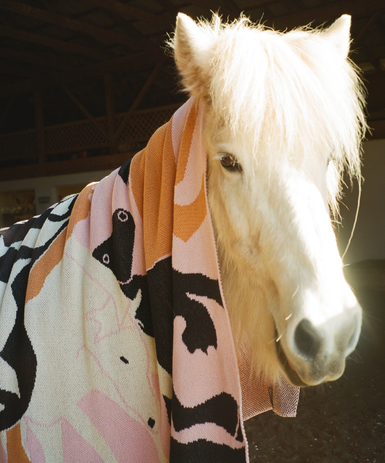 Fire Horse Blanket