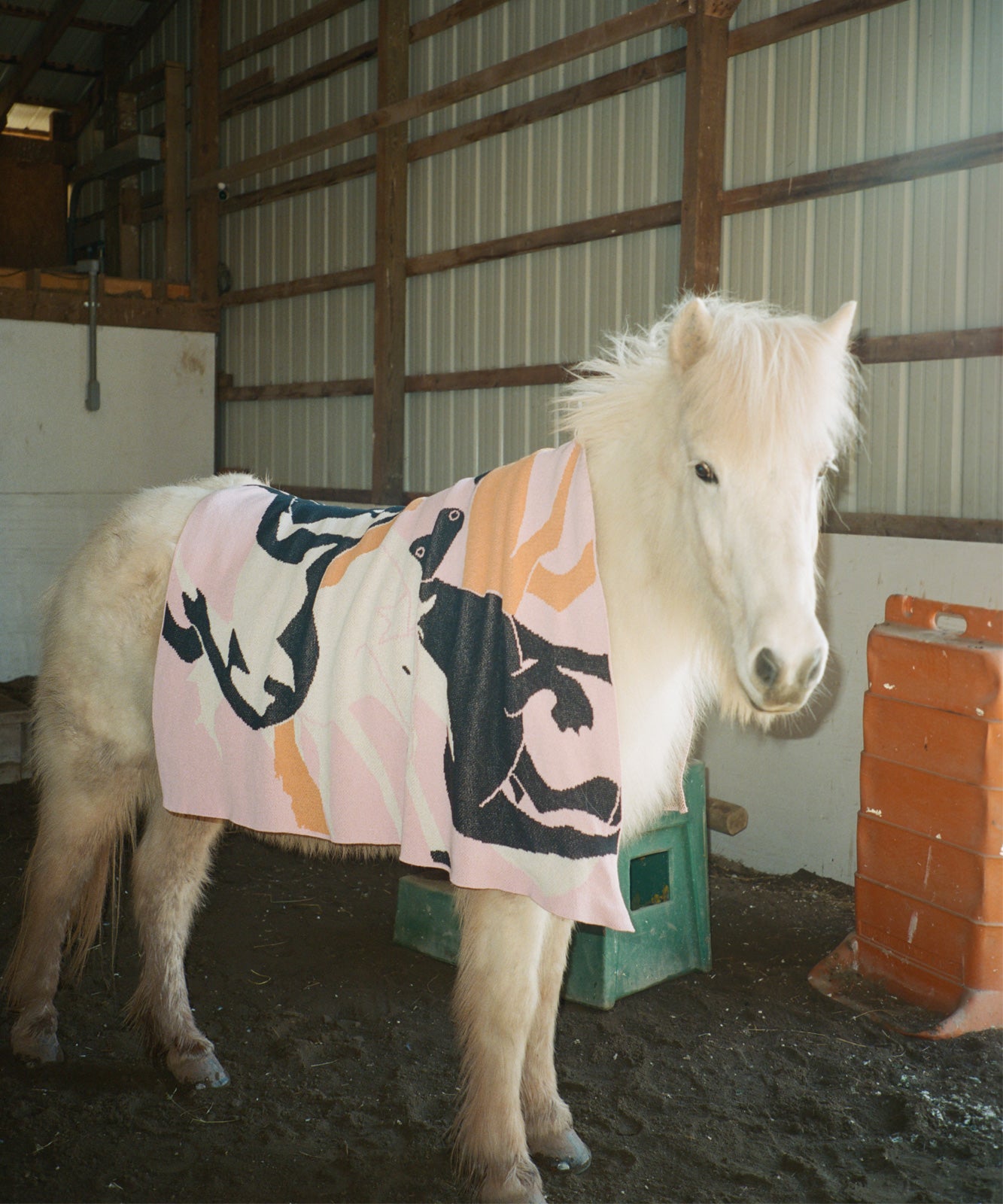 Fire Horse Blanket