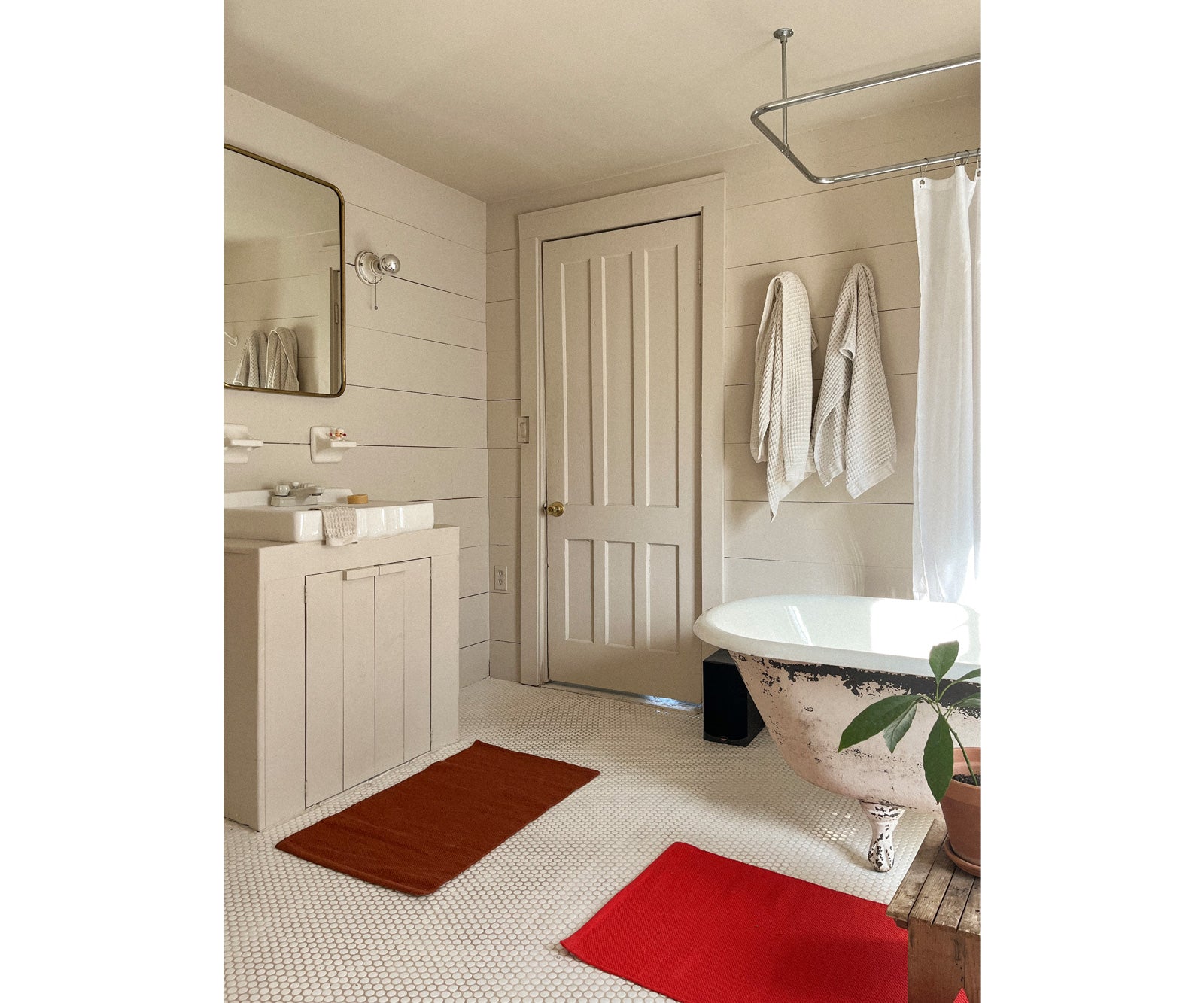 Cherry Cotton Rug