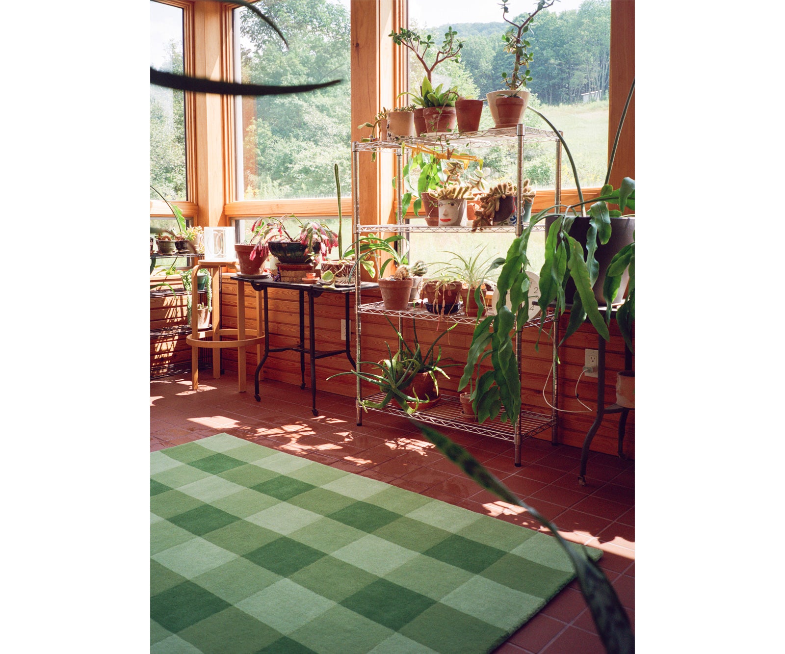 Pitch Rug
