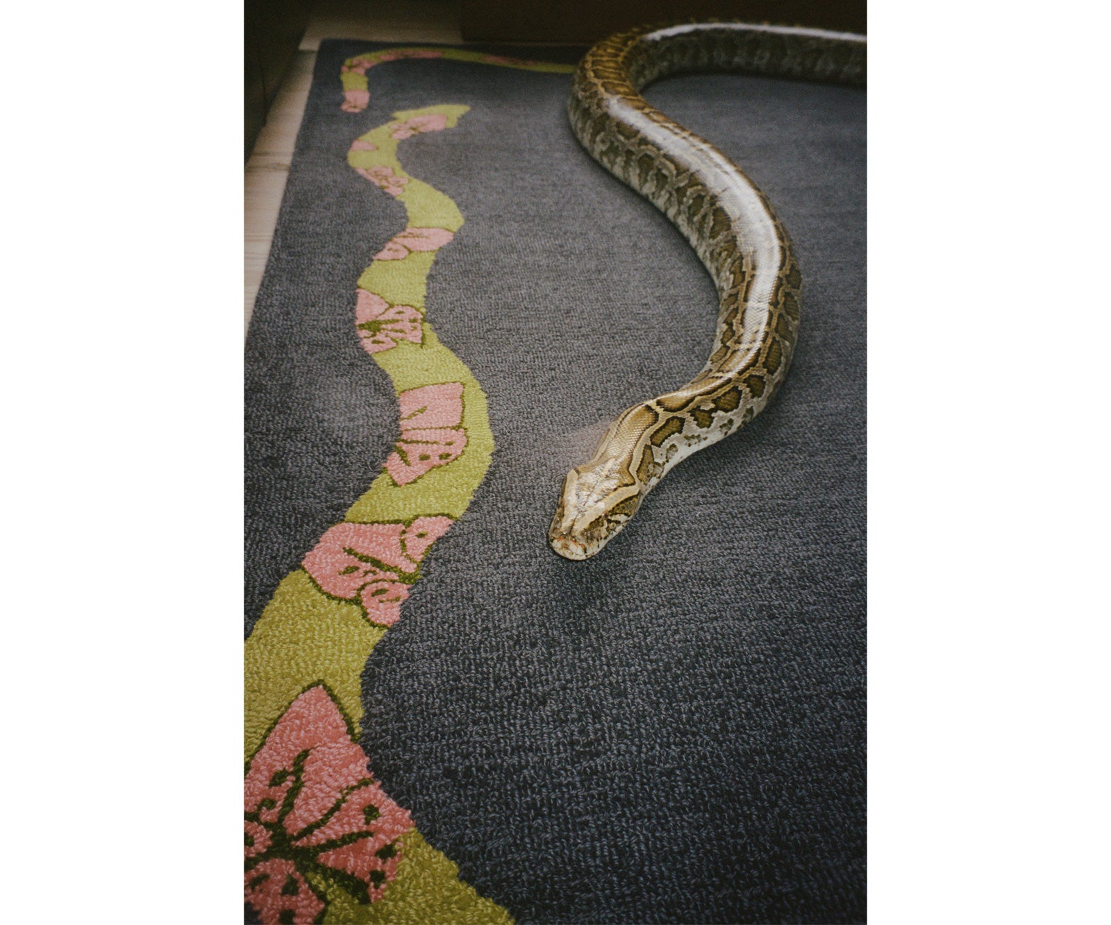 Year of the Snake Runner - Charcoal
