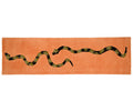 Year of the Snake Runner - Tomato