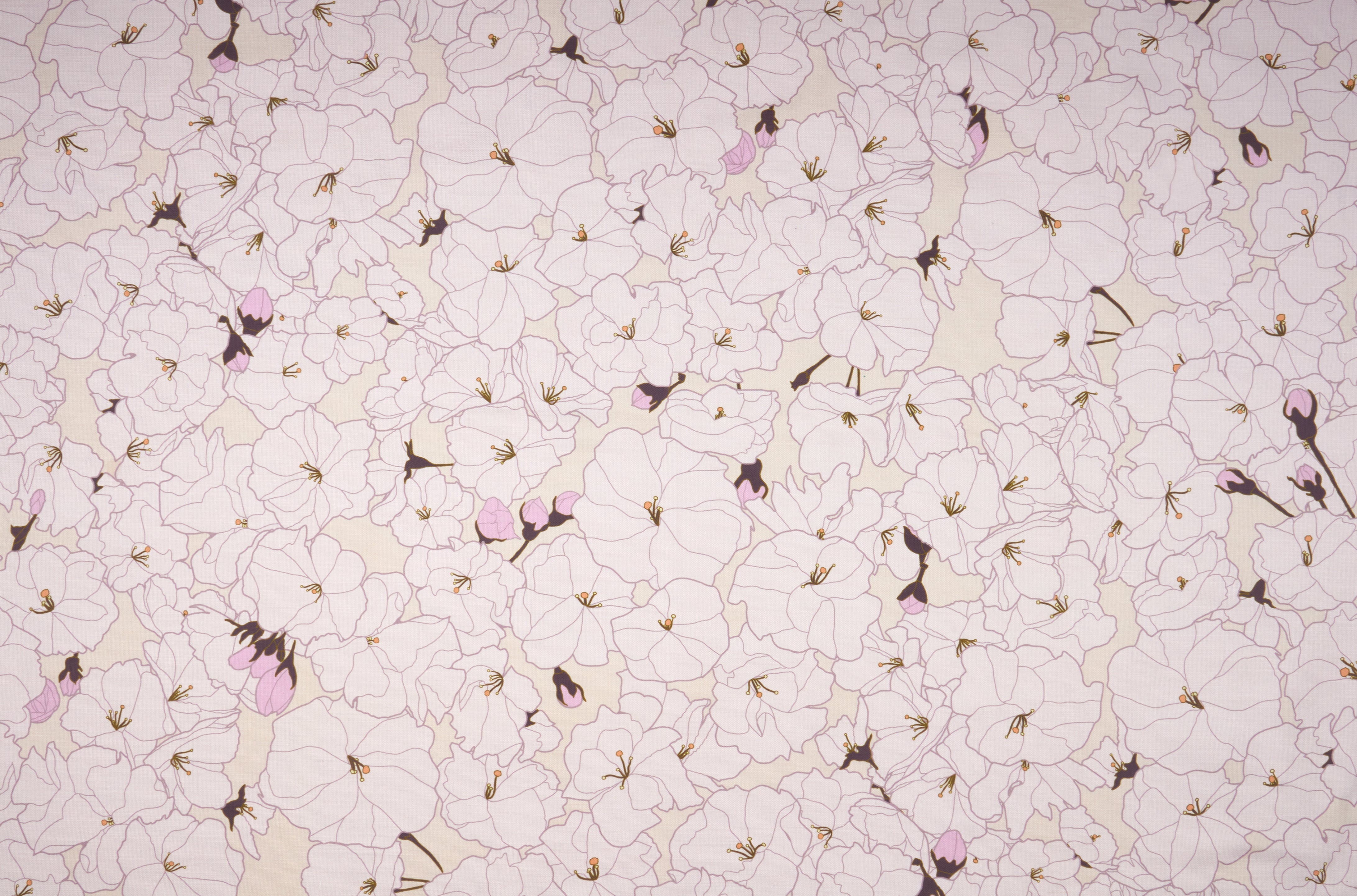 Upholstery - Sample