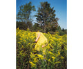 Goldenrod Cotton Rug